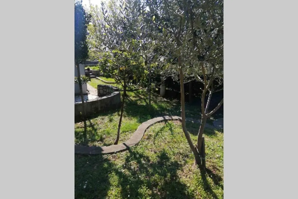 Apartman Belvedere **** Novi Vinodolski